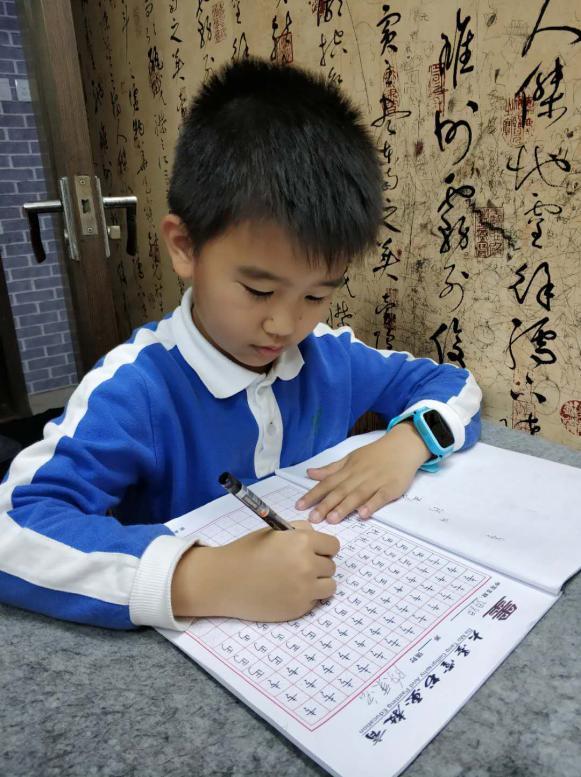 陈秉宏（阳光棕榈园校区）