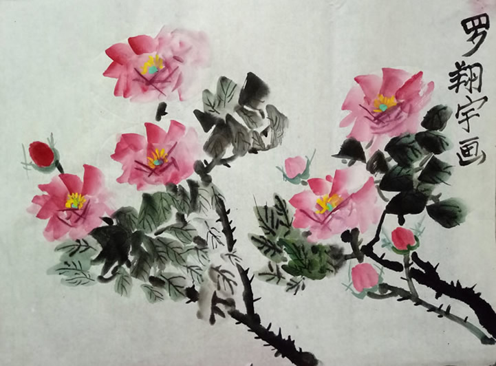 罗翔宇