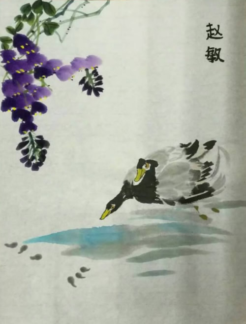 赵敏