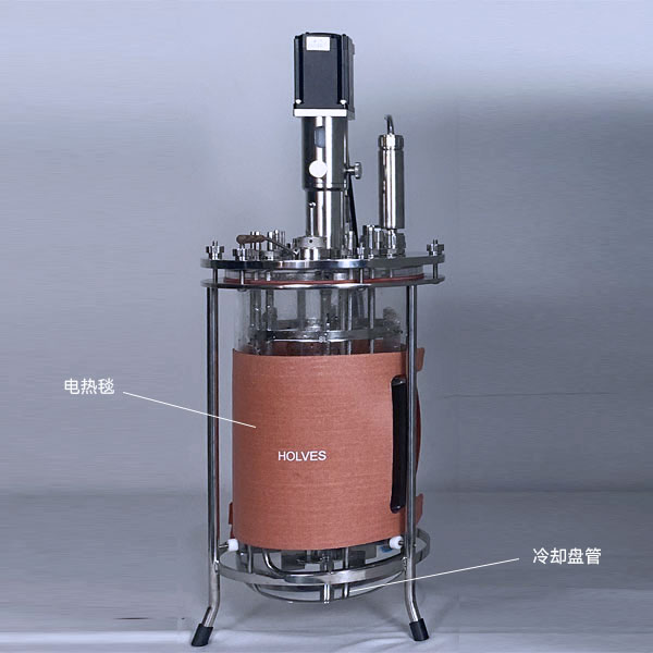 OG视讯(HOLVES)实验发酵罐 OG视讯(HOLVES)实验发酵罐