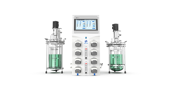 实验室双联发酵罐Twin220 实验室双联发酵罐Twin220