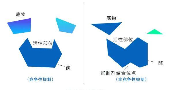 酶的反馈抑制 酶的反馈抑制